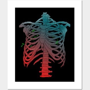 Ribcage of life Posters and Art
